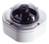 EVERFOCUS  HIGH RESOLUTION COLOR  RUGGED DOME CAMERA  EHD150