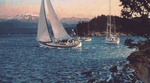 Windward<br>by Christopher Blossom