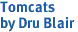Tomcats<br>by Dru Blair