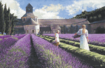 Lavender<br>by Heide Presse