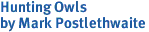 Hunting Owls<br>by Mark Postlethwaite

