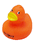 PD-2139  Orange Sweetie  Duck
