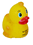 PD-2023 Big Head Duck