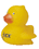 PD-2025   Tiny Duck
